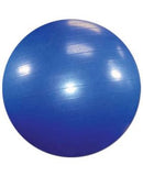 Sissel Exercise Ball Blue 55 cm