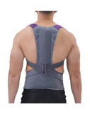 Olympa High Back Lumbar Support Grey