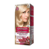 Garnier Color Intensity 9.13 Hair Color