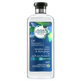 Herbal Essences Bio Renew Purify Blue Ginger Shampoo 400ml