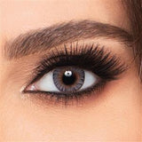 FreshLook Colorblends 145 -00.00 Gray Lenses 2's