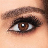 FreshLook Colorblends 145 -00.00 Brown Lenses 2's