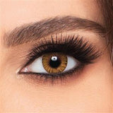 FreshLook Colorblends 145 -00.00 Honey Lenses 2's